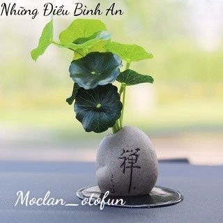 (decor) Chậu Cây Mini Trang Trí Taplo Ô Tô, Bàn Làm Việc Xanh Mát Sinh Động - Mộc Lan Phụ Kiện Xế Yêu