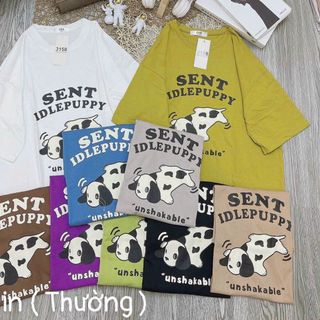 Áo thun fom rộng tay lỡ 3158 in chữ trẻ trung cao cấp sll sỉ Thanh Thảo