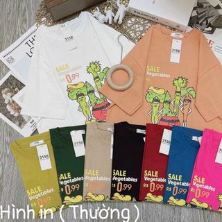 Áo thun fom rộng tay lỡ 3158 in chữ trẻ trung cao cấp sll sỉ Thanh Thảo