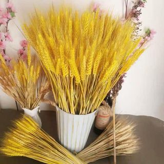 BÓ BÔNG LÚA KHÔ DERCO TRANG TRÍ