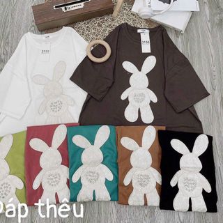 Áo thun fom rộng tay lỡ 3158 in hình thỏ giản trẻ trung cao cấp sll sỉ Thanh Thảo