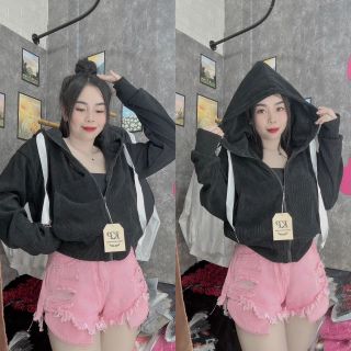 Khoác nhung gân qc cổ cao