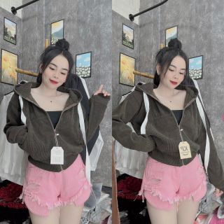 Khoác nhung gân qc cổ cao