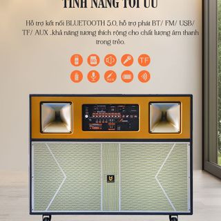 Loa Kéo Bình Best Sound BD-5800 Cao Cấp