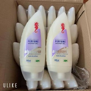 Sữa Tắm Cá Ngựa Algemarin