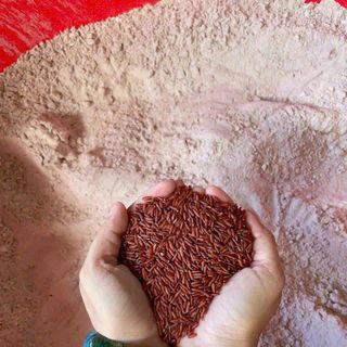 BỘT GẠO LỨT ĐỎ NGUYÊN CHẤT GIẢM CÂN AN TOÀN 500G - WINNIE HOUSE