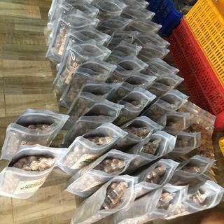 Hạt Macca Sấy Nứt quy cách 500g hút chân không kèm dụng cụ tách