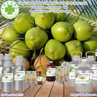 Dầu dừa ép lạnh Coconut Oil không mùi - 500ml giá sỉ