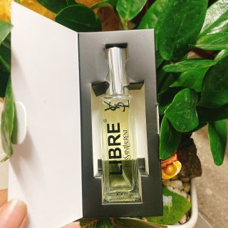 NƯỚC HOA CHIẾT 25ML SIÊU XỊN HÀNG CHUẨN TINH DẦU