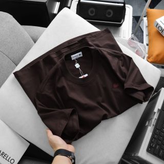 Áo thun nam chất cotton, áo phông nam cao cấp, chất 100% cotton 2c định lượng 250gsm - size từ 55kg - 85kg