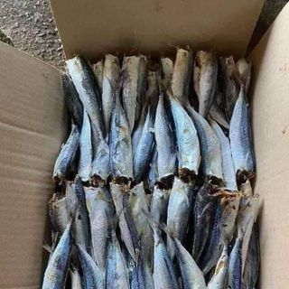 khô cá nục, cá nục hấp