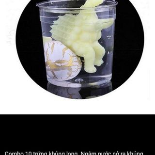 Trứng khủng long ngâm nước