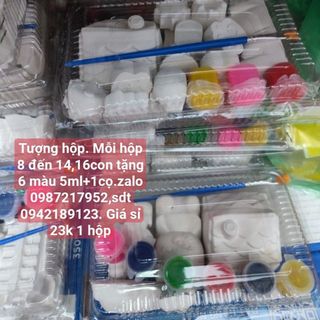 Hộp tượng y hình