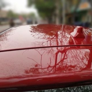(nhiều màu) Ăng ten vây cá mập hàng cao cấp loại 1 có gioăng cao su hàng chính hãng hybrid