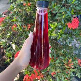 Siro atiso đỏ không kèm hoa 330ml
