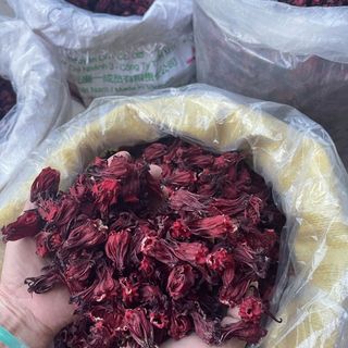 Trà atiso đỏ