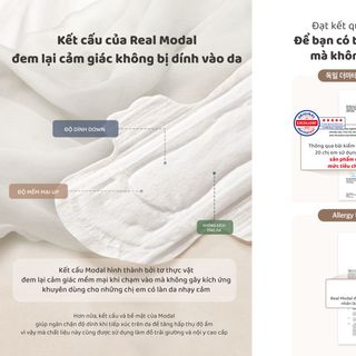 [SSC VN] Tìm đại lý cho BVS Hàn Quốc Dear Skin Real Modal