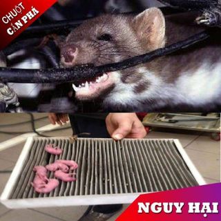 Tinh dầu chống chuột Pepermice dạng xịt khoang máy ô tô chống chuột hiệu quả
