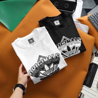 Áo thun nam chất cotton, áo phông nam cao cấp, chất 100% cotton thái 4c xịn, dày mịn trơn láng, mát rượi, co giãn thoải mái - size từ 55kg - 85kg