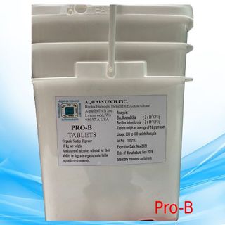 Men vi sinh xử lý đáy dạng viên Pro-B Talet