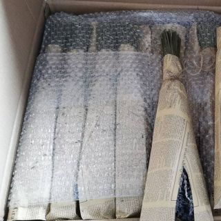 Sỉ hoa lavender giá rẻ - chất lượng