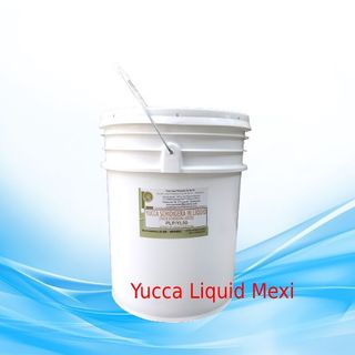 Yucca Liquid Schidigera Pure Land khử khí độc dùng trong Nuôi trồng Thuỷ sản