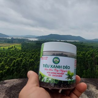 TIÊU XANH DẺO TÂY NGUYÊN
