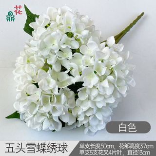Cẩm tú cầu 5 nhánh