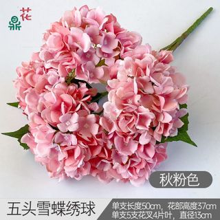 Cẩm tú cầu 5 nhánh