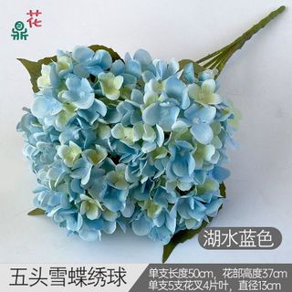 Cẩm tú cầu 5 nhánh