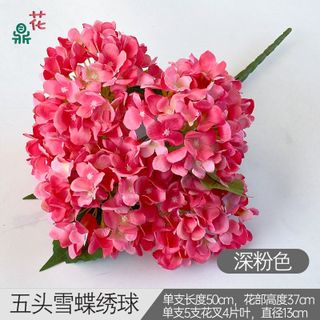 Cẩm tú cầu 5 nhánh
