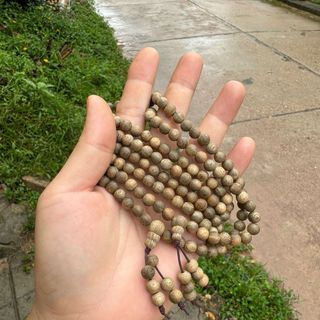Tốc Lào 6mm