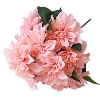 Hoa thược dược