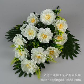 Hoa cẩm chướng