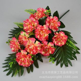 Hoa cẩm chướng