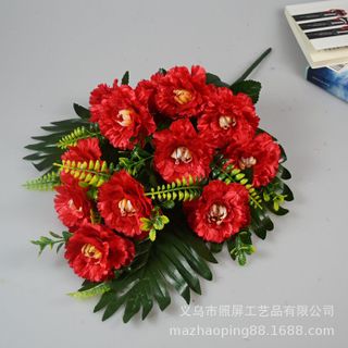 Hoa cẩm chướng giá sỉ