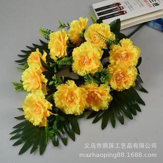 Hoa cẩm chướng