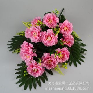 Hoa cẩm chướng