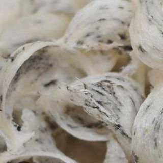 Tổ Yến thô nguyên chất 100gram - không chất tẩy, chất bảo quản