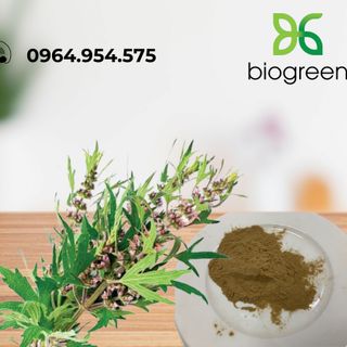 Cao khô Ích Mẫu, bột ích mẫu Biogreen tan trong nước trị rong kinh, sa tử cung, cao huyết áp giá sỉ
