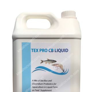 TEX PRO CB LIQUID – Men vi sinh dạng nước giá sỉ