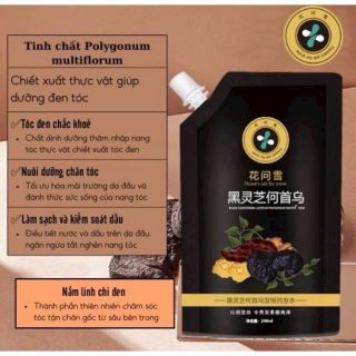 Gội đen thảo dược túi 300g