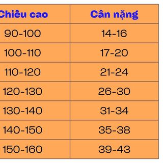B009- Bộ tay dài cho bé gái Beebee có số kí từ 14-43kg, chất liệu cotton 4 chiều, bo gấu cho bé diện thu