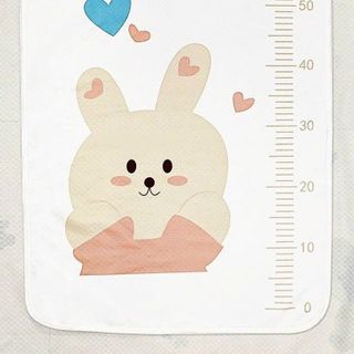 Manny- Lót 4D Gấu Chống Thấm Mềm Mịn