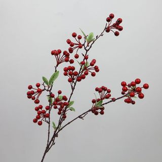 Cành đông đào có lá điểm