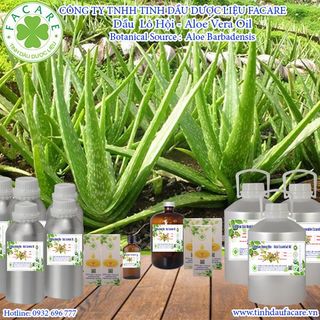 Dầu Lô hội - Aloe vera gel - 1000ml