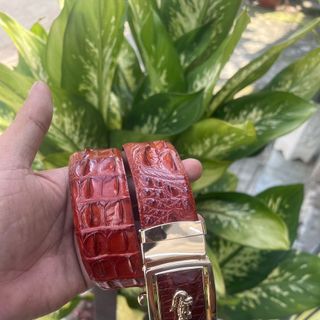 Dây lưng da cá sấu gù