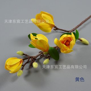 Hoa Mộc Lan nở nhỏ