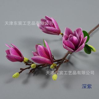 Hoa Mộc Lan nở nhỏ