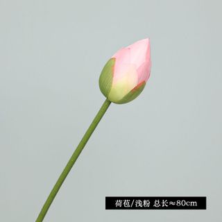 Bông sen các loại